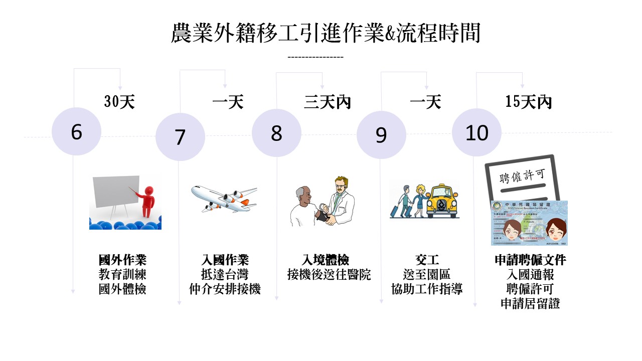 流程圖說明了在台灣僱用外籍農業工人的流程和時間表，包括培訓、抵達、體檢和申請許可證等步驟。